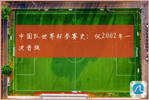 中国队世界杯参赛史:仅2002年一次晋级