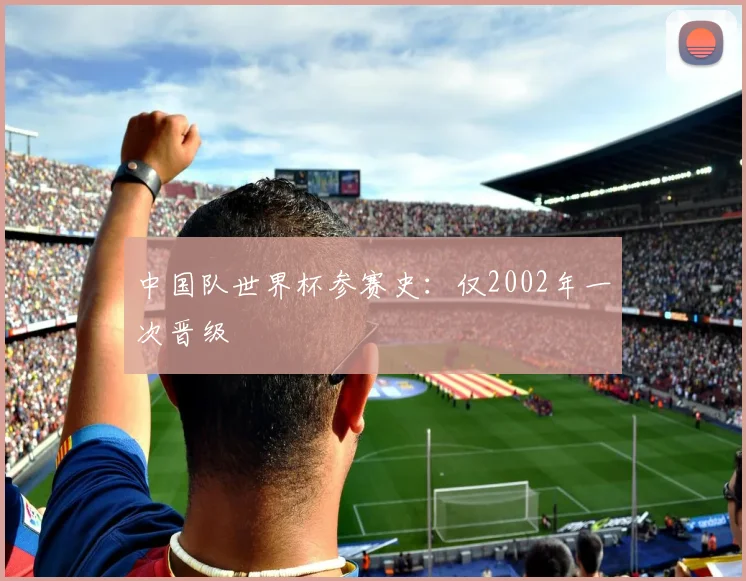 中国队世界杯参赛史:仅2002年一次晋级
