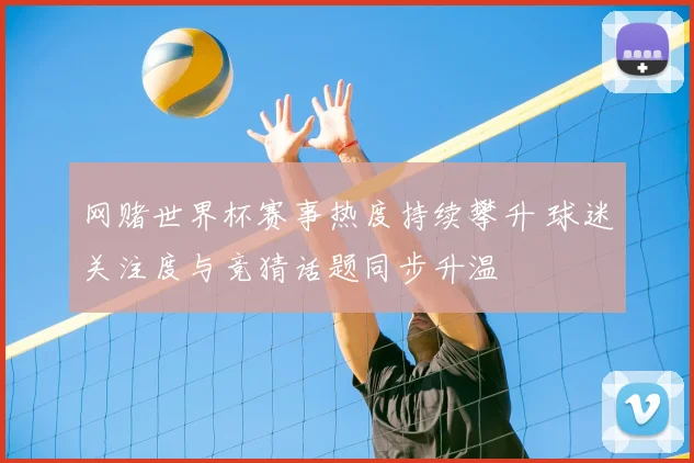 网赌世界杯赛事热度持续攀升 球迷关注度与竞猜话题同步升温