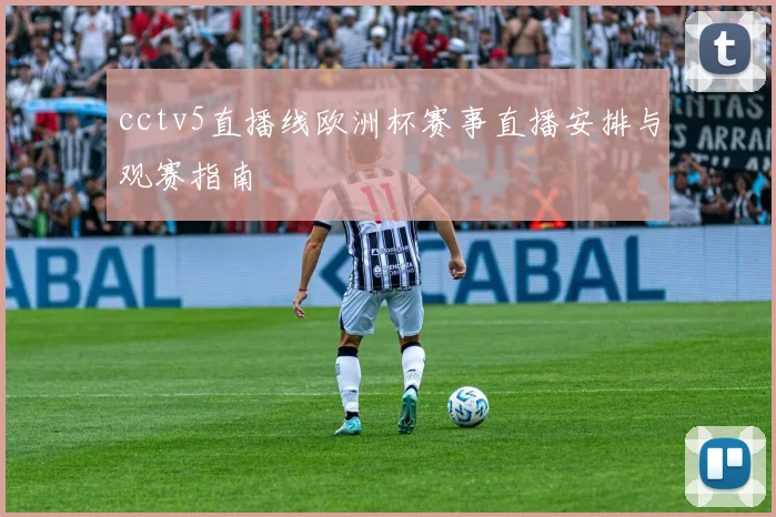cctv5直播线欧洲杯赛事直播安排与观赛指南